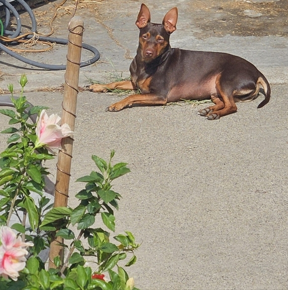 !! GIFTS !! RANDOMNESS GIFTs MARCH2026 - Picture 10 of 15